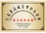 江苏省高成长型中小企业--重点培育企业